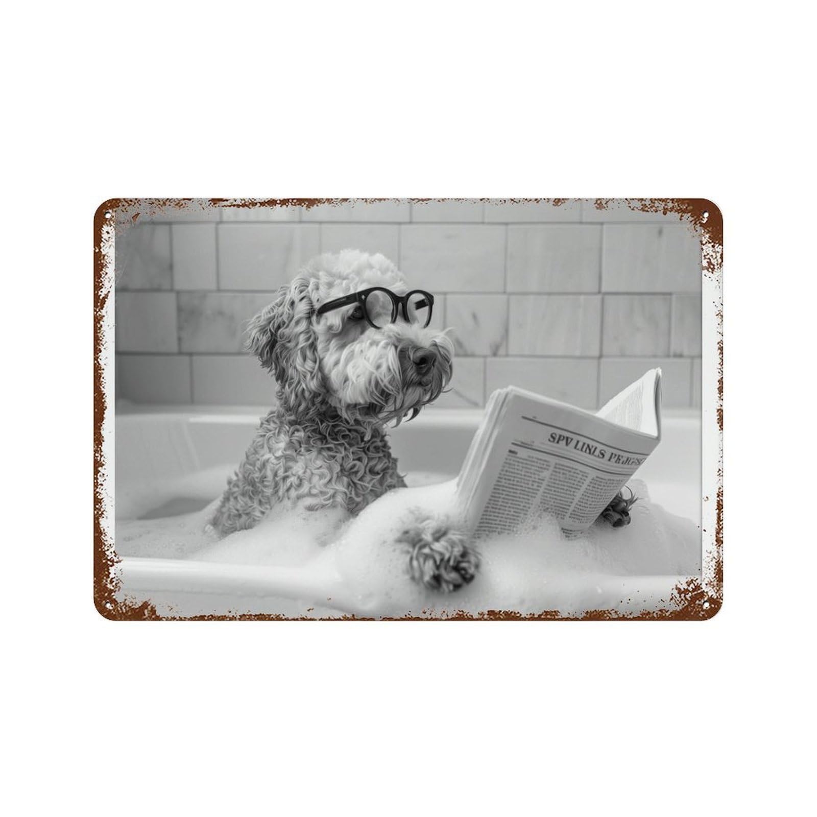 xiaoxiaoshen Goldendoodle Bathtub Funny Doodle Dog in Tub, Reading Newspaper Wall Decor Art Metal Tin Poster Modern Home Decor Art Home Bar Shop Decorations Vintage Sign 20x30cm