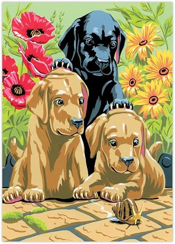 Miniatura 6 de Royal  Langnickel - Kit de actividades de arte pequeño para niños con pintura por números Dachshund Puppy PJS51