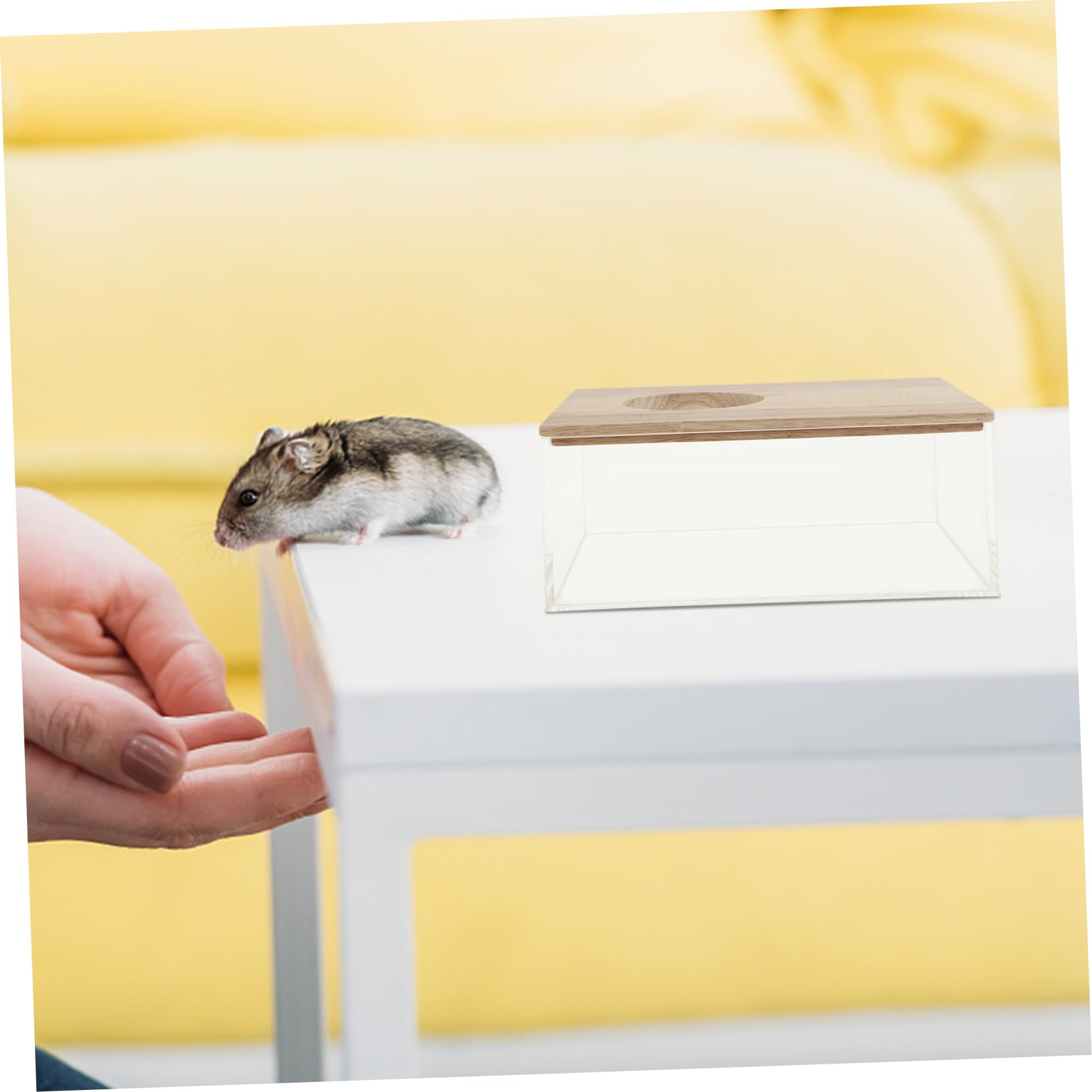 IMIKEYA Transparente Hamsterbadewanne aus Acryl mit Rutschfester Höhe Multifunktions Sandbad für Hamster Meerschweinchen und Kleine Haustiere Haushalts Sandbad für Sicheren Badespaß