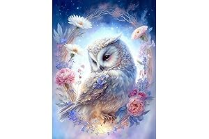 Eiazuiks DIY Owl Diamond Painting Kits for Adults