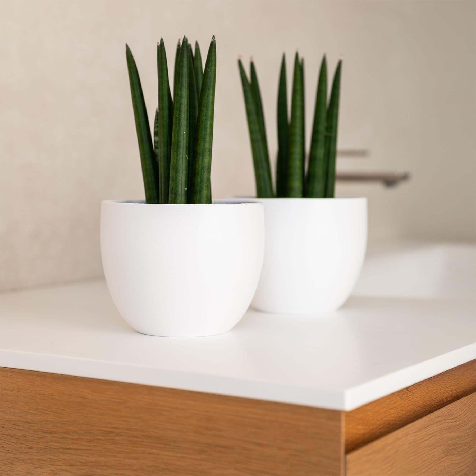 Elegante jarrón de Terracota | Blanco Mate | para Interior o Exterior | D.12,5 cm - H.13 cm | Maceta Decorativa Moderna para Plantas, Flores, Plantas suculentas, orquídeas, Sansevieria (2 x – Ø 12,5