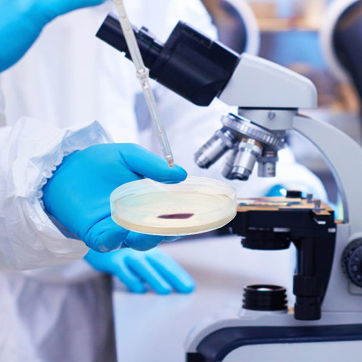 ULTECHNOVO 60piezas Placas De Petri Agar Nutritivo Prellenado Para Experimentos Científicos y De Microorganismos