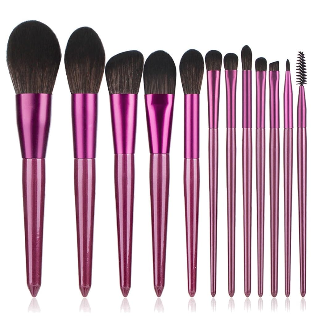 Set di 12 pennelli da trucco, con ombretto in polvere