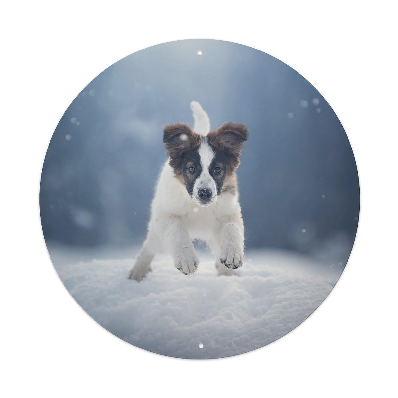 Animal Border Collie Winter Scene Snowy Forest Playful Puppy Dynamic Action Light Beam Vintage Metal Tin Sign Plaque Wall Decor for Cafe, Club Bar, Office, Garden Metal Poster 8x8Inch