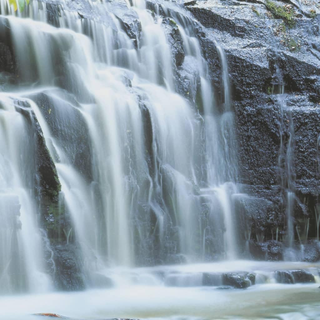 Komar 8-256 Lot de 8 papiers peints muraux panoramiques New Zealand Pura Kaunui Falls Vert 368 x 254 cm