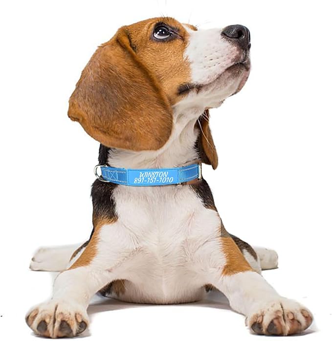 Collar personalizado para perros en diferentes colores miniatura 4