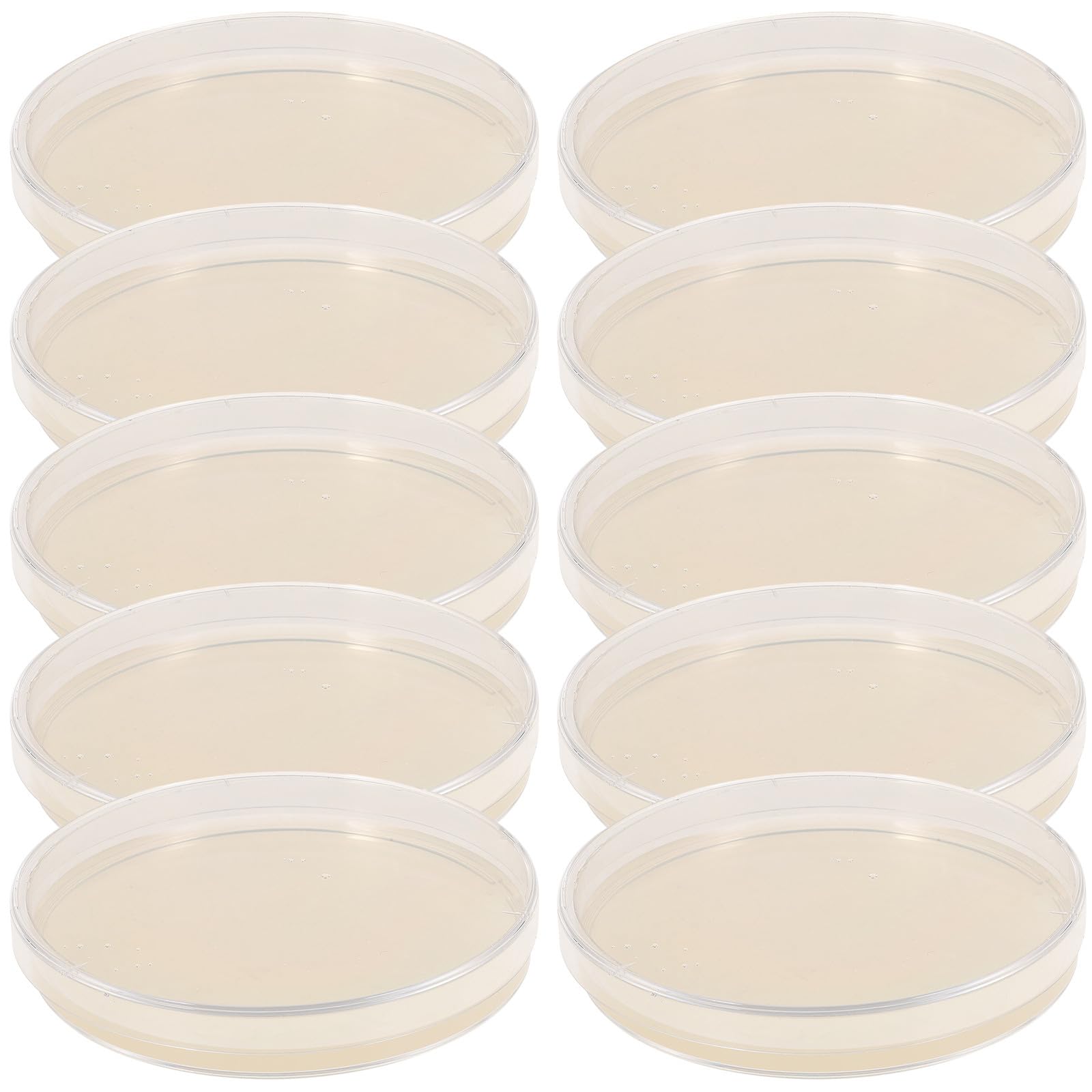 NUOBESTY 10 Piastre di Petri Agar Nutriente Pre-Versate 9 CM Set da 10 Pezzi per Esperimenti Scientifici Progetti Scolastici e Analisi di Laboratorio