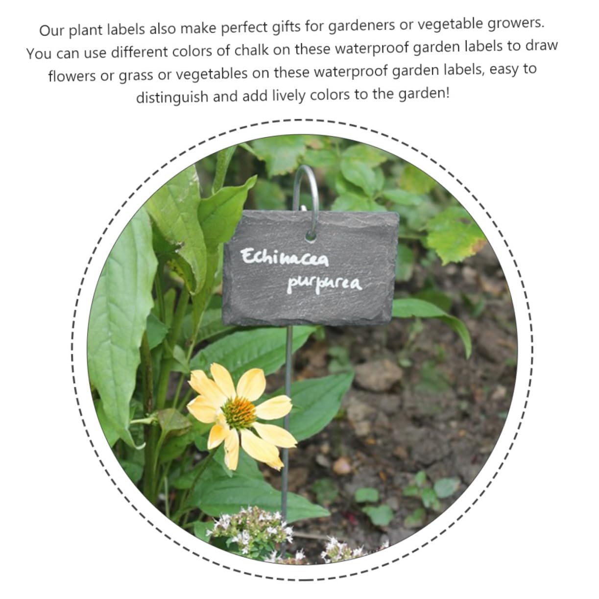 Etichette per Piante in Ardesia, 12 Pezzi, Facili da Scrivere, Leggere e Portatili, per Aiuole e Cortili, Accessorio da Giardino