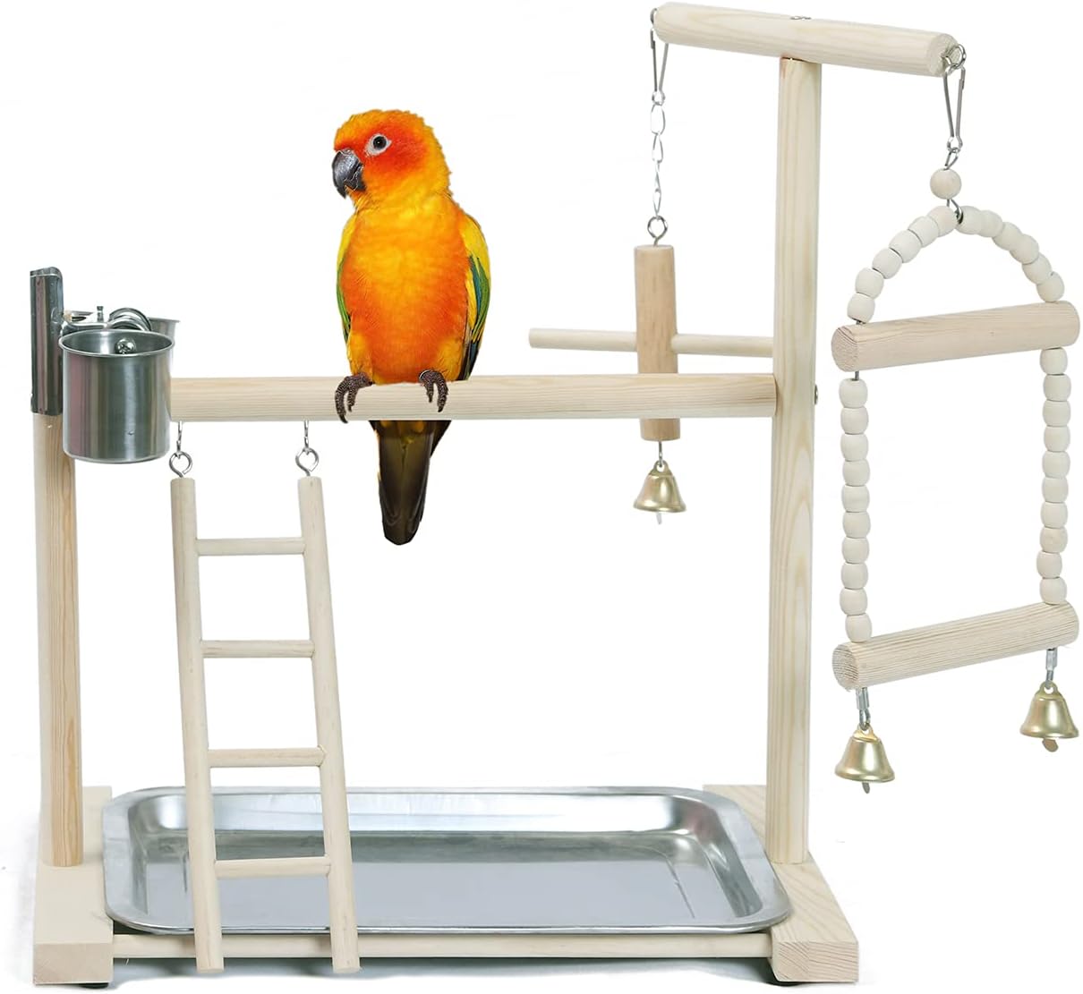 budgie gym