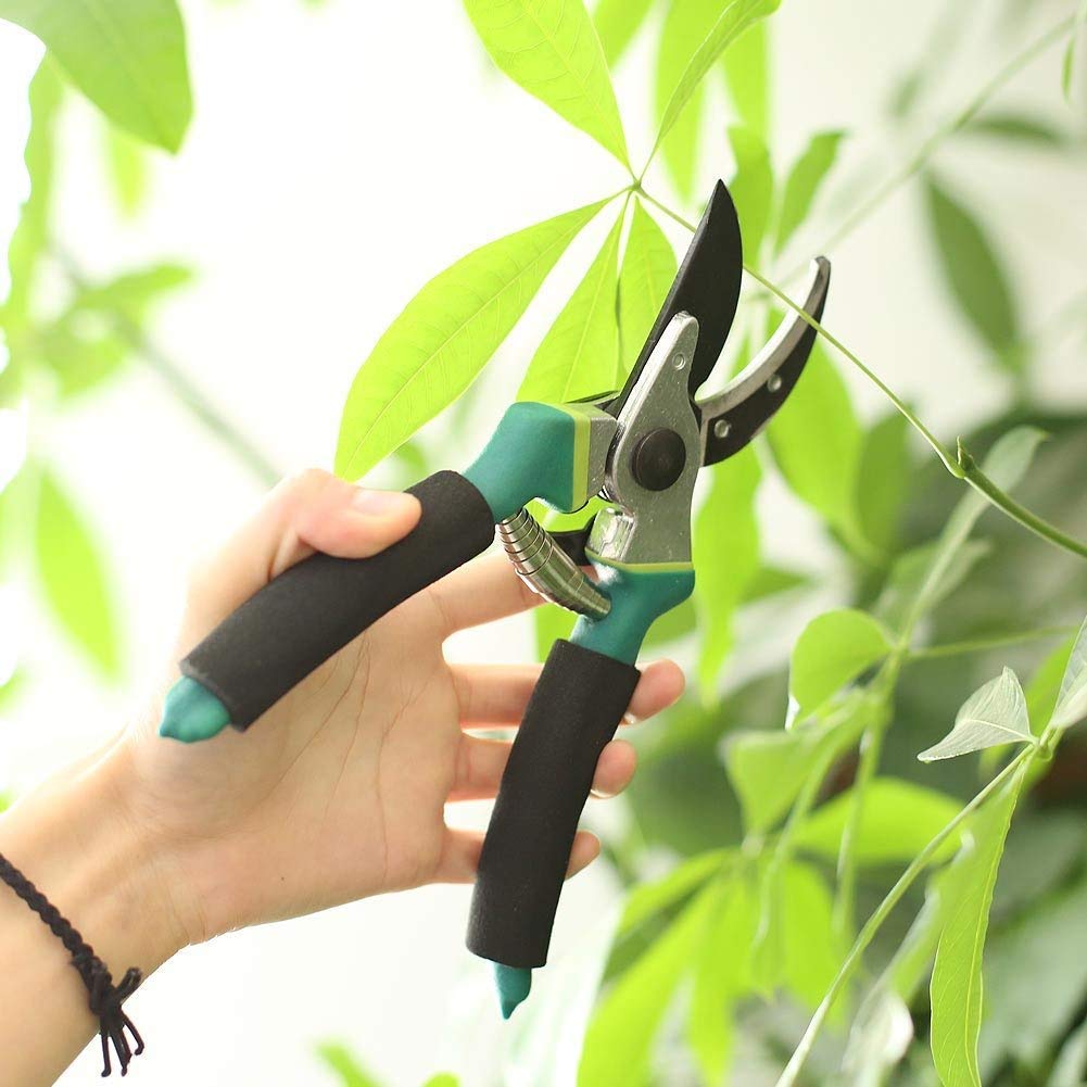 Astschneider, Heckenschere, Cutter, Beschneiden, Handschere, Pflanzenschneider, 20,3 cm, professionelle Stahl-Astschere, Handschere, Gartenschere, Werkzeug, Mehrzweck-Garten oder Rasen