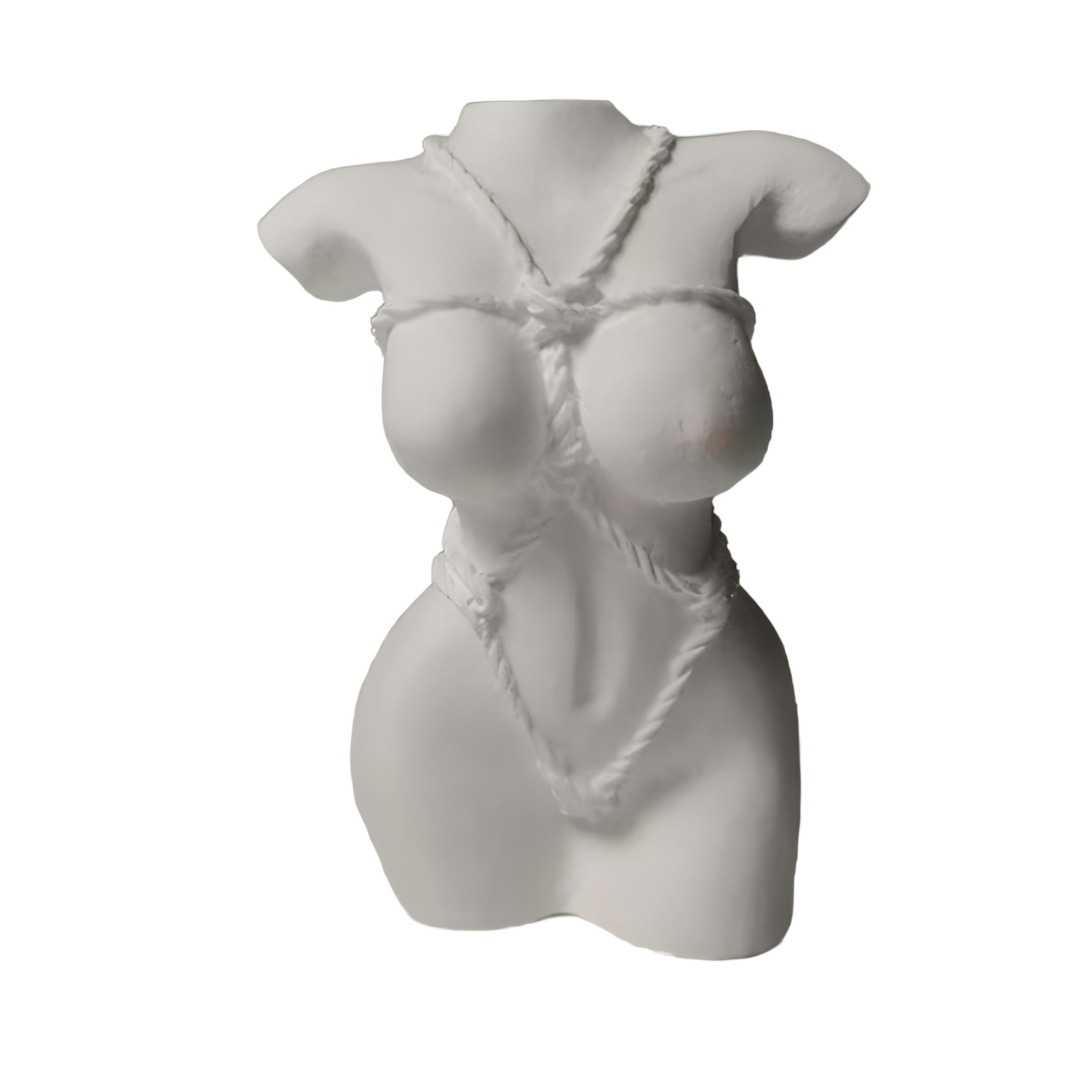 Dytartzx Female Torso Plaster Sculpture, Minimalist Body Art Statue for Home Decor, Small White Figurine Ornament for Shelf Desk Living Room, Modern Aesthetic Decor Gift
