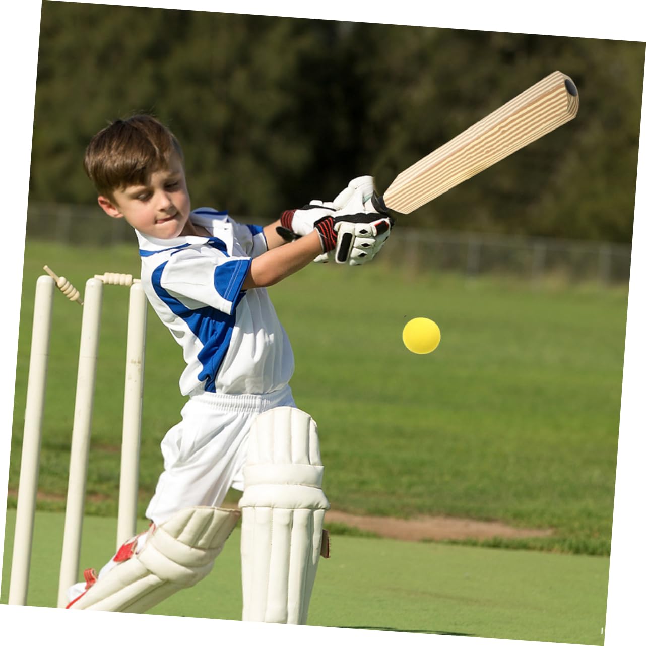 Toyvian Batte de Baseball en Plastique EVA 4Pcs Équipement d'Entraînement Sport Familial