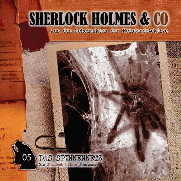 Cover art for Das Spinnennetz