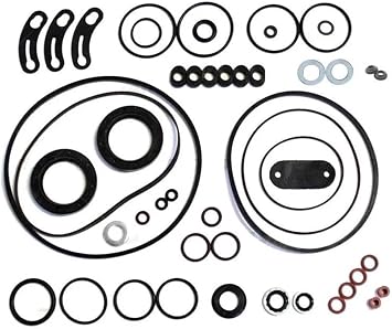 Rebuild Kit Compatible with Stanadyne Roosa Master Diesel Injection Pump 24372 DM Fits John Deere Case International Harvester, Part # Motorworks#S0115 / 31498/04