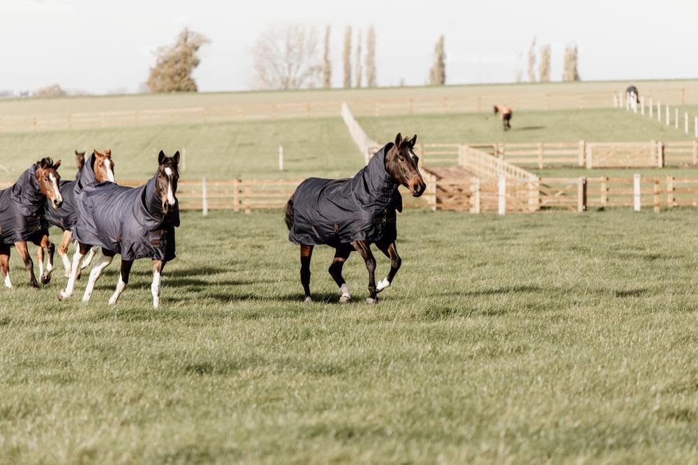 Kentucky Horsewear - Manta impermeable para caballo, con tapa para cuello, 150 g