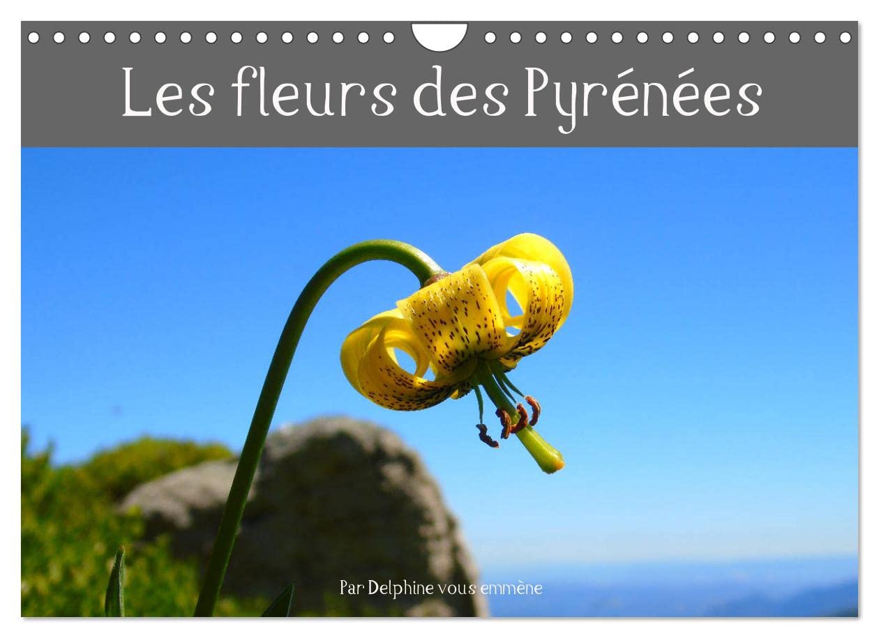 Buy Les fleurs des Pyrénées (Calendrier mural 2023 DIN A4 horizontal
