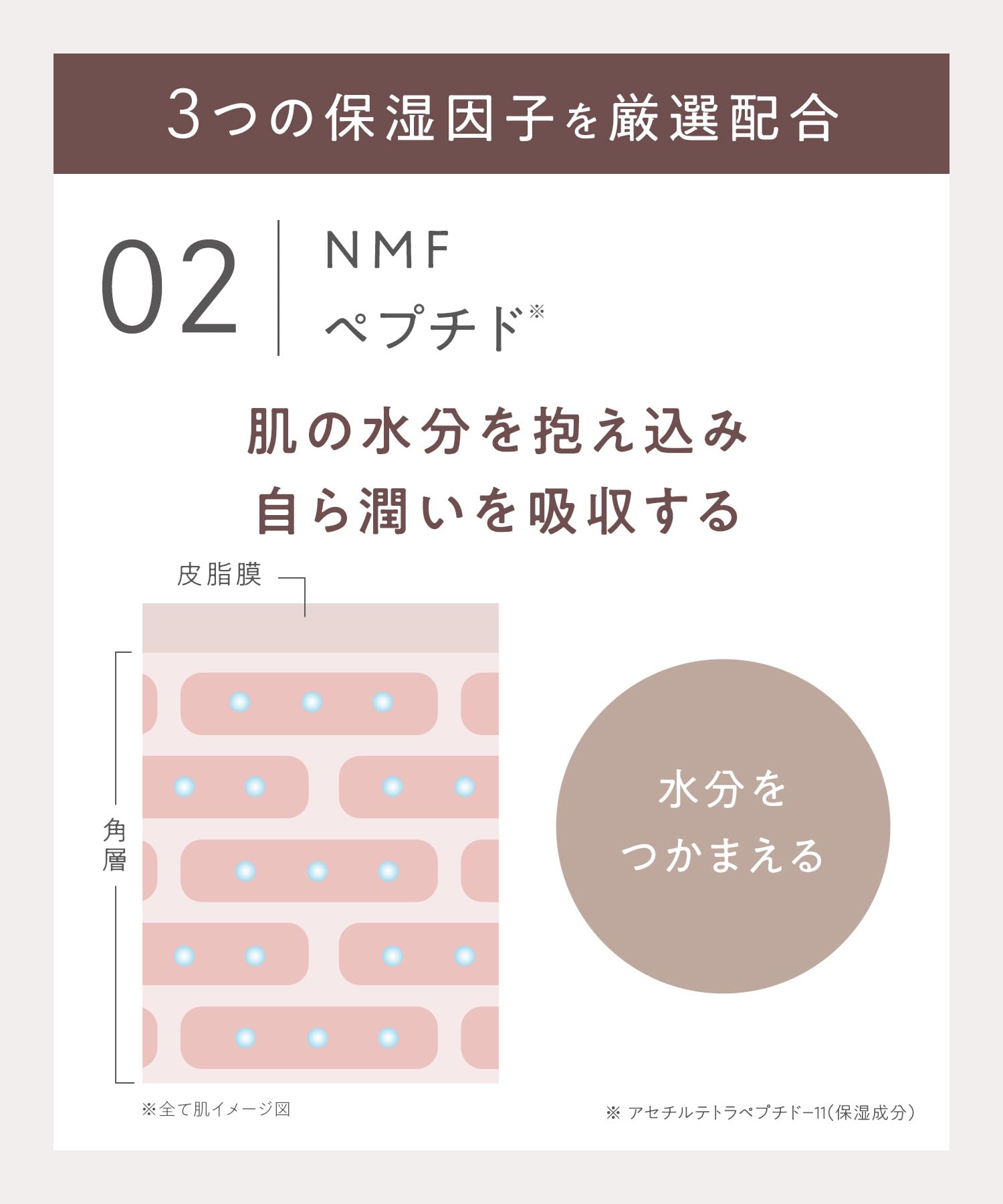 Amazon.co.jp: ennthy エンシー | エンスィ 美容液 スキンケア セラム 