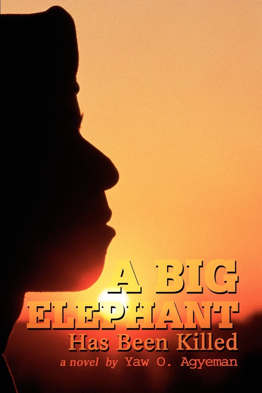 A Big Elephant Has Been Killed: a novel