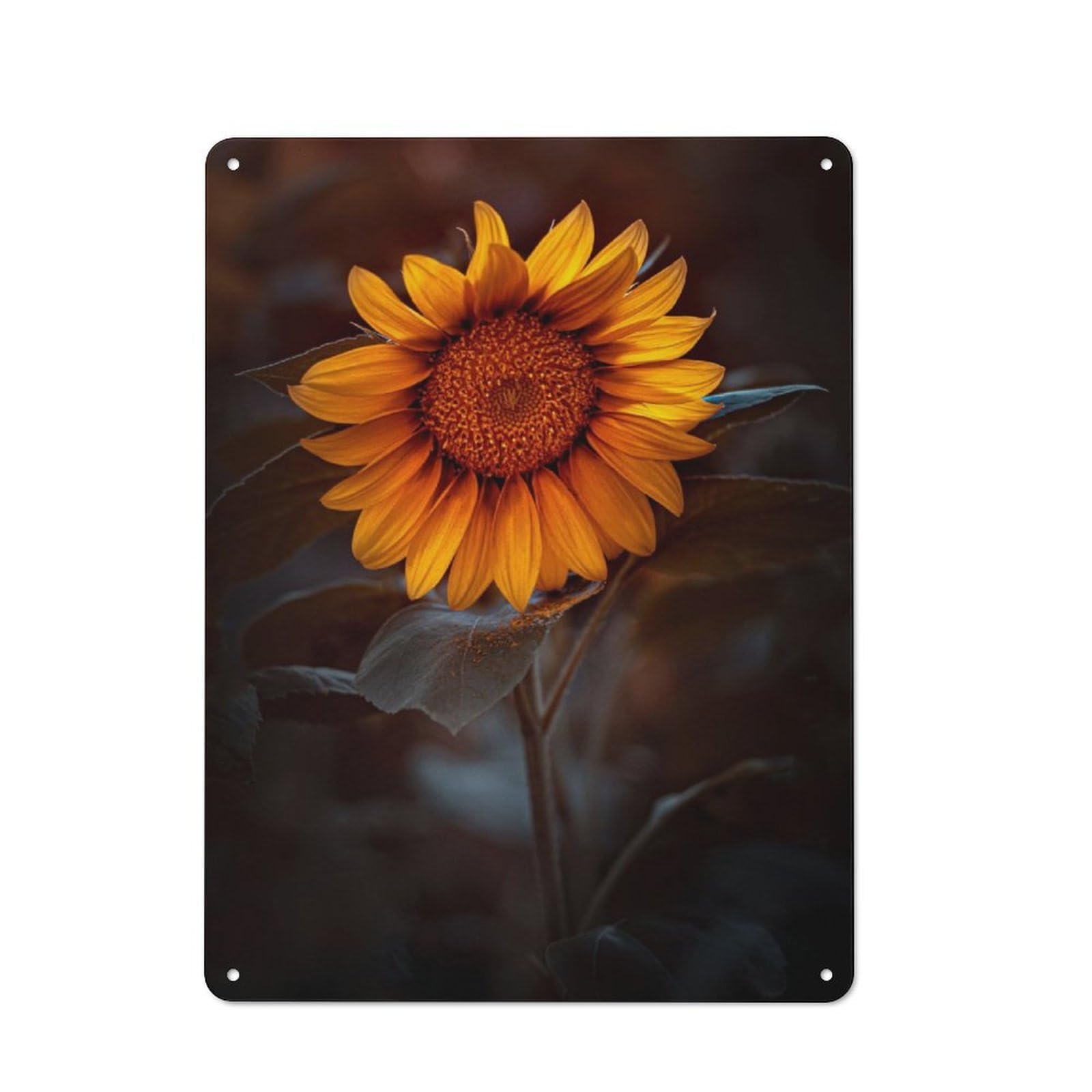Junmoney Sunflower 5 For Lounge Or Reading Corner, Rustic Tin Sign 40X30cm, For An Autumn Update To Lounge And Reading Corner