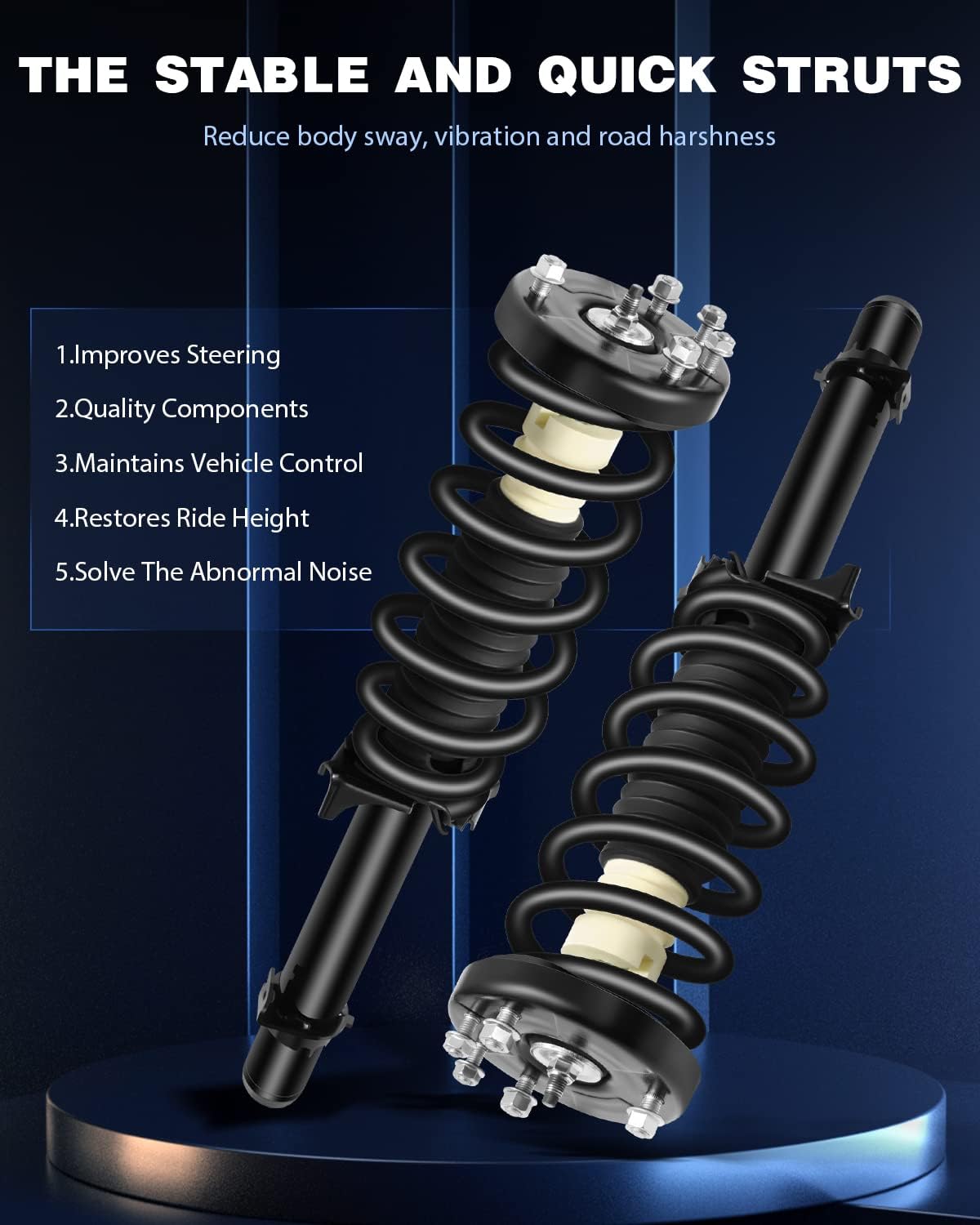 ECCPP Complete Struts Spring Assembly Front Struts Shock Absorber Fit for 2009 2010 2011 2012 2013 2014 for Acura TL Set of 2