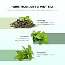 CHAYAM Spearmint Peppermint Green Tea | Pure Spearmint & Peppermint Blend | Refreshing Loose Leaf Tea (35g) | Supports Gut Health & Hormonal Balance | Enjoy Hot or Iced gallery image