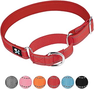 Pimaodog Adjustable Martingale Safety Training Dog Collars, Soft Neoprene Padded Breathable Nylon Pet Collar for Small Medium Large Dogs (M, Red)