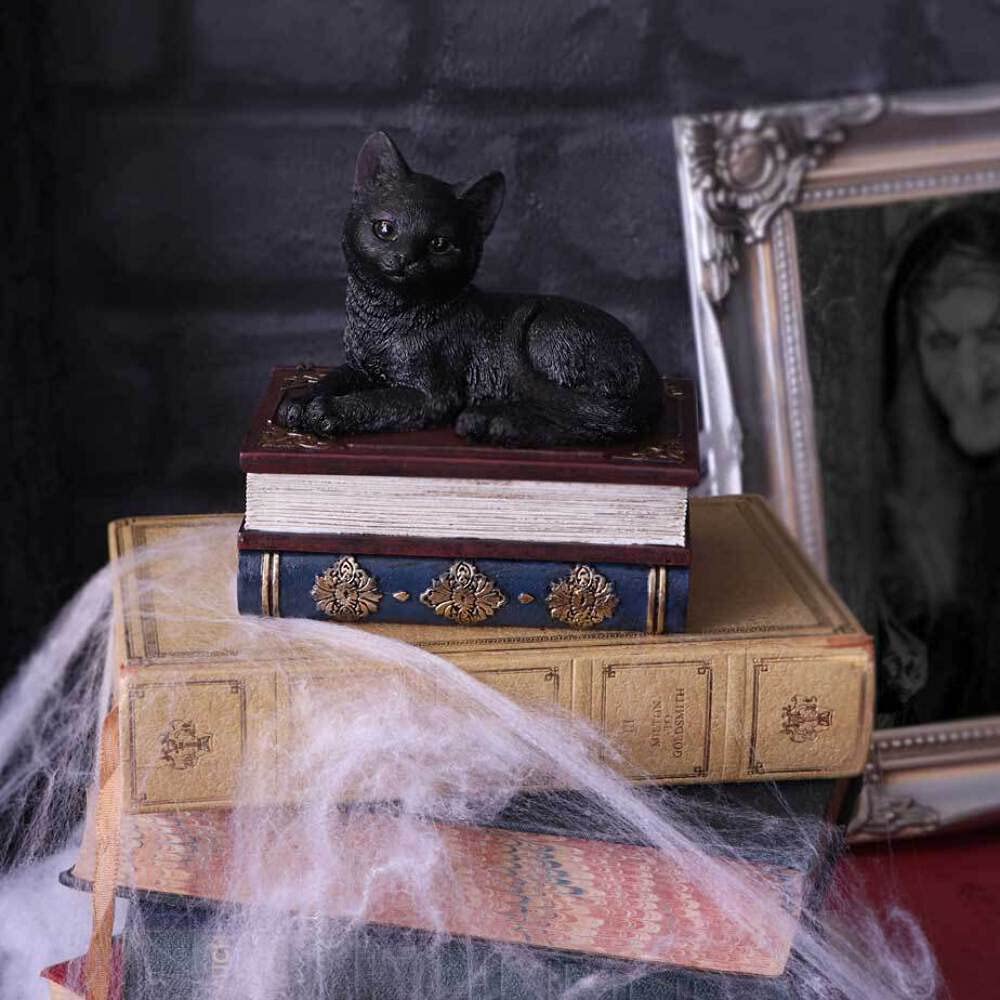 Nemesis Now Salems czarownice znane czarny kot i pudełko z księgą zaklęć, 11,7 cm