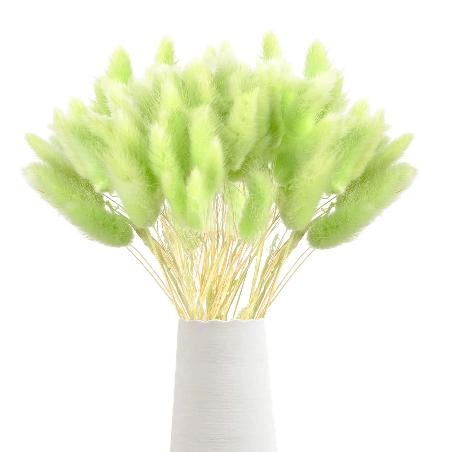 Xbessc 128 stuks droogbloemen herfst natuurlijk, gedroogd
