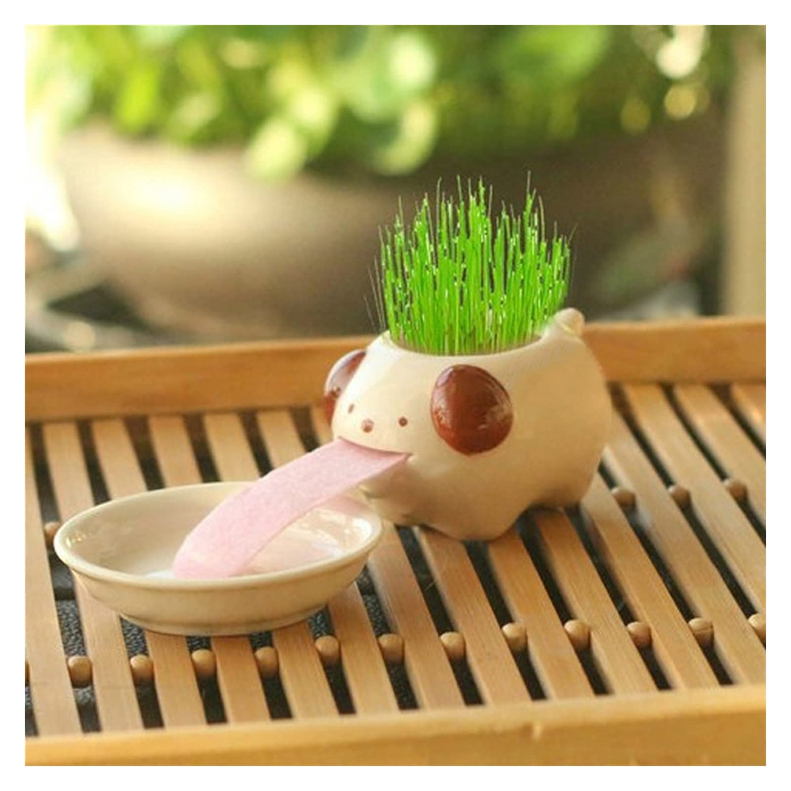 Mini Flower Pots Cute Polar/Bear Blue/Bear Monkey Ceramic Flower Pot Small Cartoon Planter Succulent Plants Bonsai Cactus Pot Home Garden (Color : Dog)