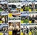 Produktbild Hubert und / ohne Staller - Staffel 1+2+3+4+5+6+7+8+9+10+11 im Set - Deutsche Originalware [59 DVDs]
