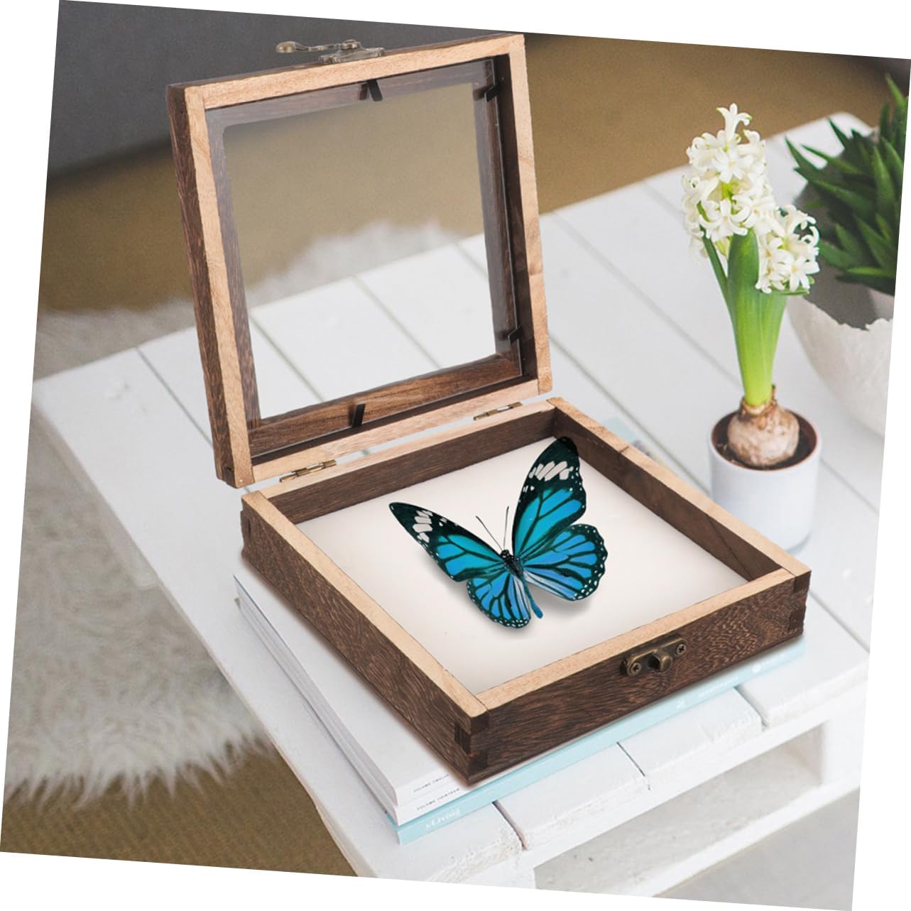 5pcs Wooden Specimen Collection Box with Lidded Display for Insect and Butterfly Preservation Multi-Functional Storage for Jewelry and Keepsakes Compact Design for Easy