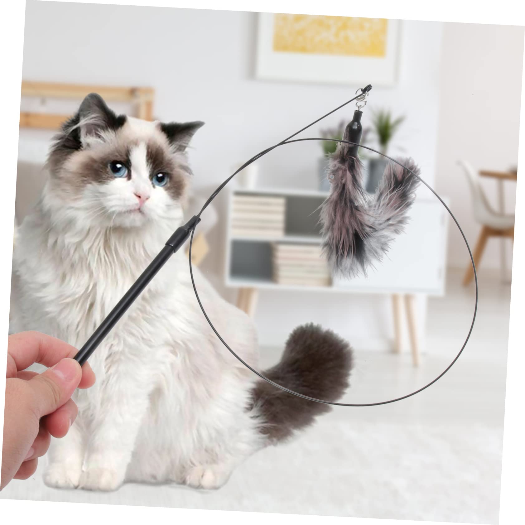 FRCOLOR Jouet Interactif pour Chat Intérieur avec Détachable Et Ventouse Stimule La Curiosité Et Exercice des Félins De Âges