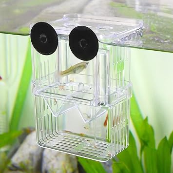 Aquarium Fish Breeding Box Transparent Acrylic - Baby Fish Separator for Tank with Adjustable Divider & Suction Cups - Ideal for Baby Shrimp Hatchery, Guppy Fry, Betta & Goldfish Isolation 8x7x11cm