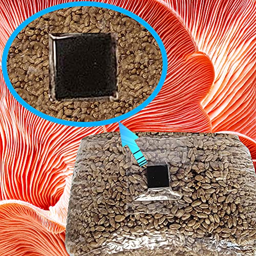 Mushroom Grow Bags with Self Healing Injection Port - 20 Bags - Evviva Sciences - 0.2 Micron Patch - Thick 3mm Polypropylene - Autoclavable, Durable, & Tear Resistant by ES EVVIVA SCIENCES - Image 2