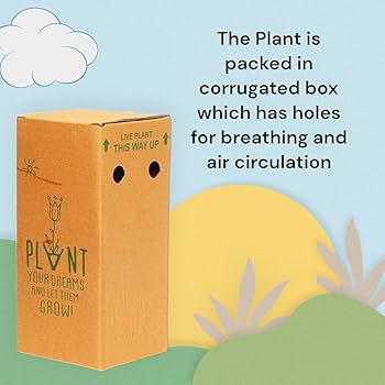 61LioKaWMCL._AC_UF350,