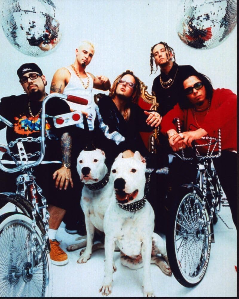Amazon.com: Korn Group With Two White Dogs Photo Print (16 x 20