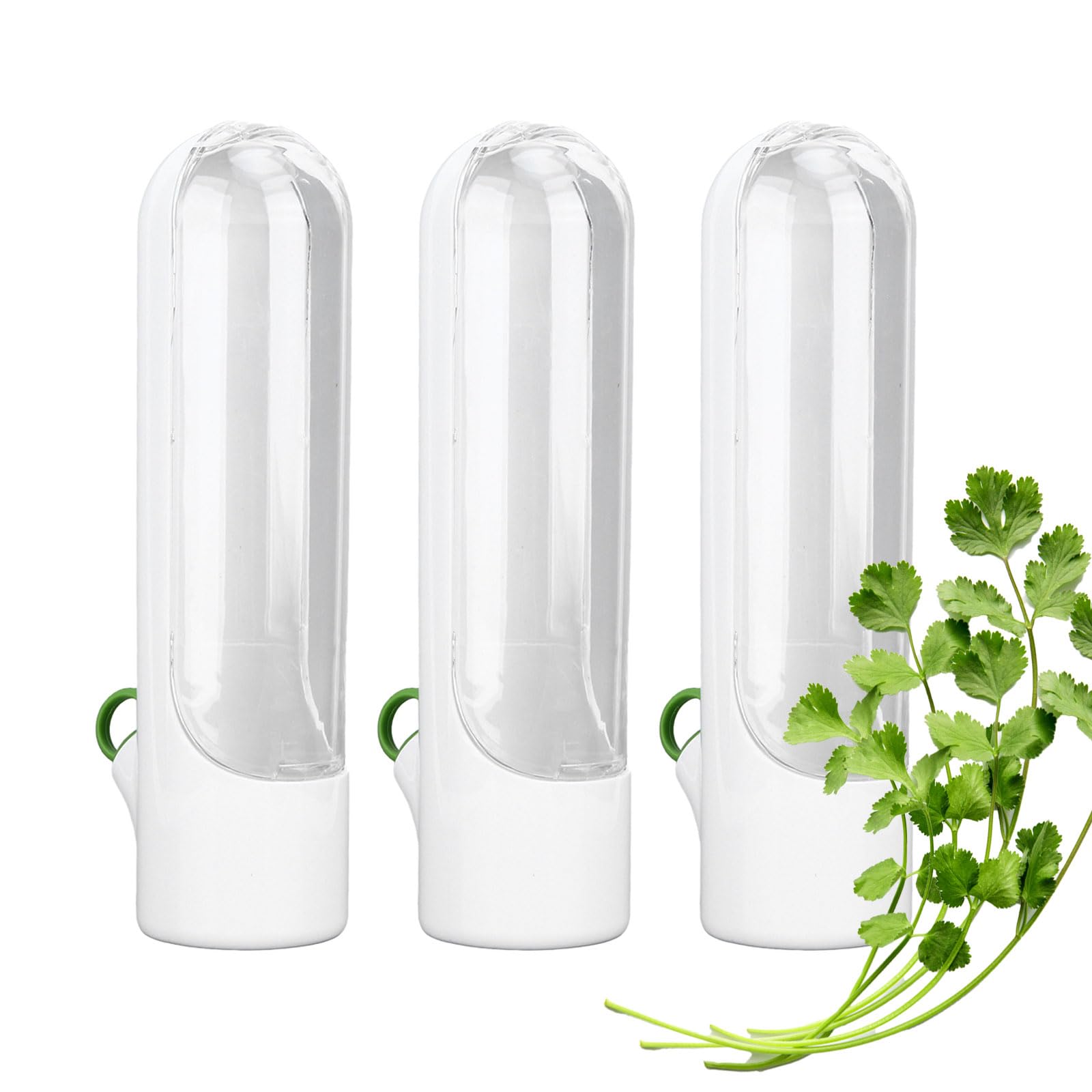 Conservador De Hierbas Frescas Para Nevera - Recipiente Con Agua Para Cilantro, Perejil, Menta, Espárragos... Prolonga Su Frescura (25 Cm Altura)