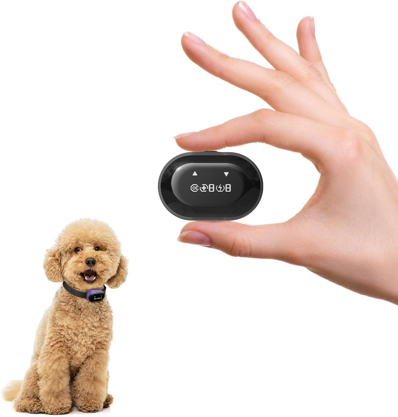 2025 Ultra-Small Bark Collar with Optional Shock, Vibration & Sound, Bark Record for Small Dogs 5-15lbs, Only 1 * 1.7in & 0.8oz, Rechargeable, IPX7 Waterproof, 5 Sensitivity Levels(PurpleBlack)