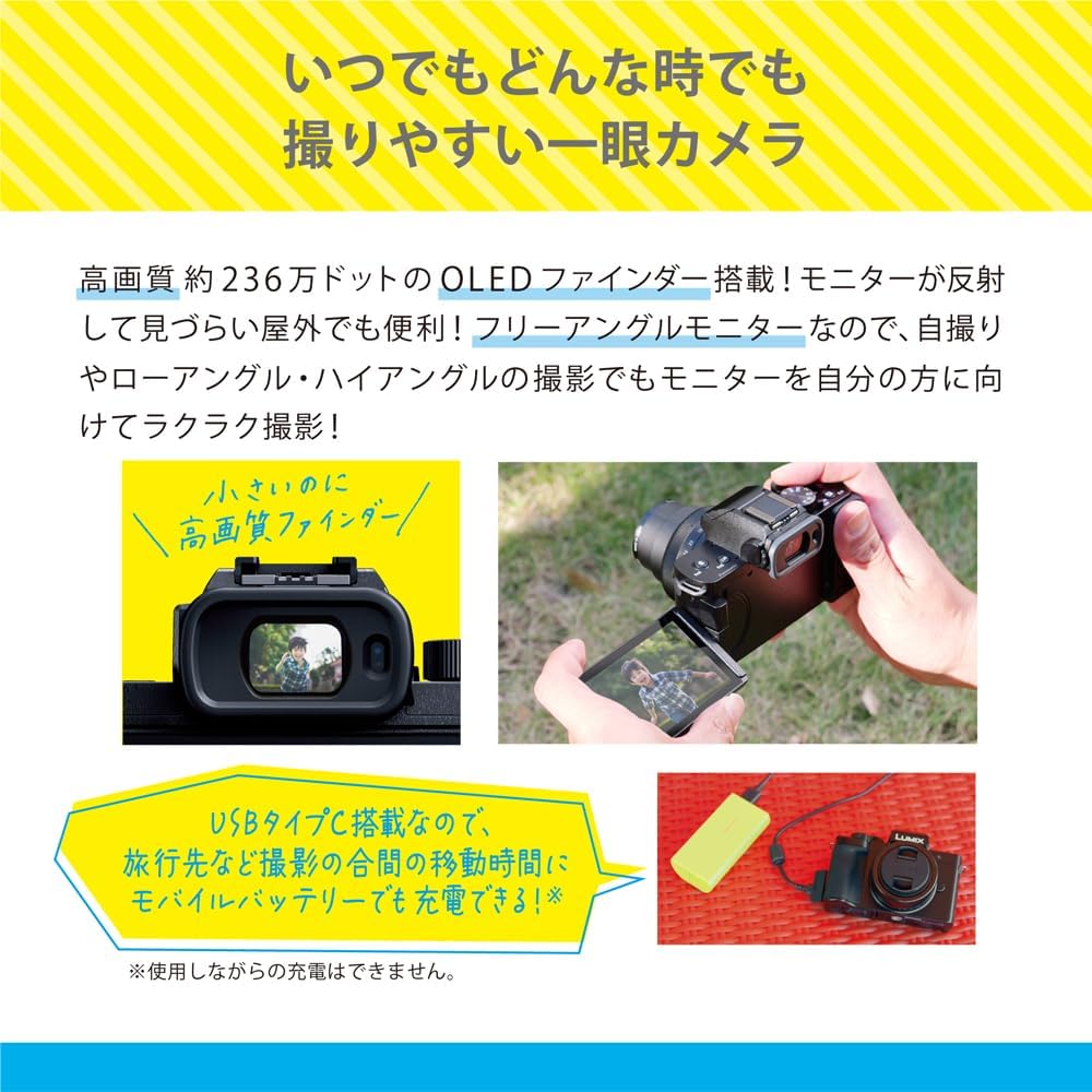 セット買い）パナソニック(Panasonic) 小型・軽量ミラーレス一眼カメラ