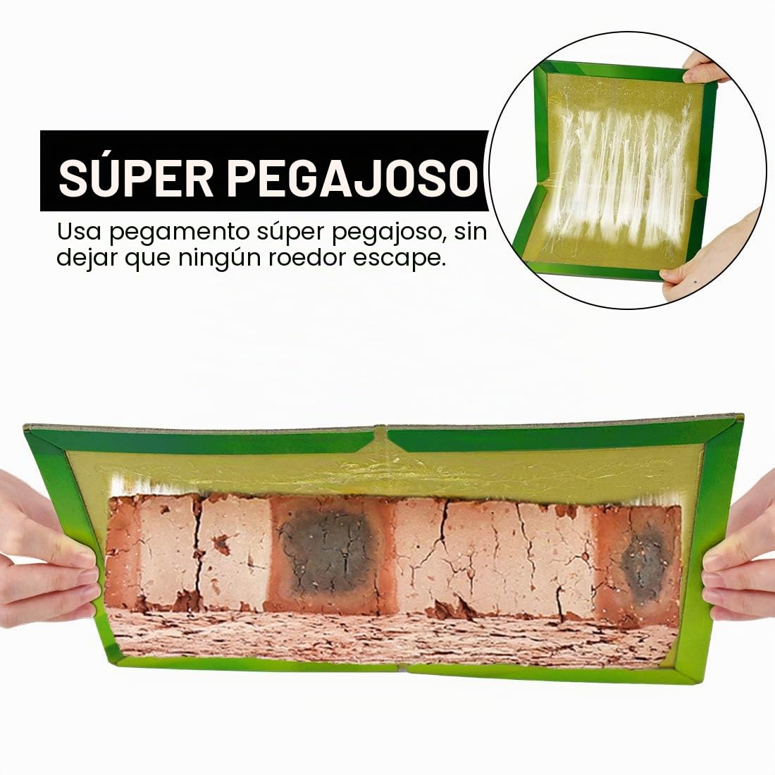 Trampas para Ratones 22 Piezas Pegamento Trampa Potente Grandes Ratones 【22 Piezas】