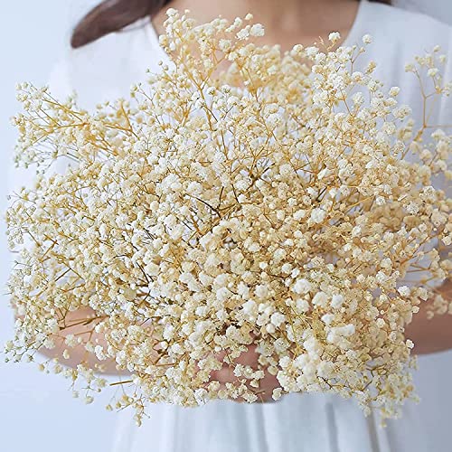 100g Flores secas Gypsophila para decoración boda miniatura 1