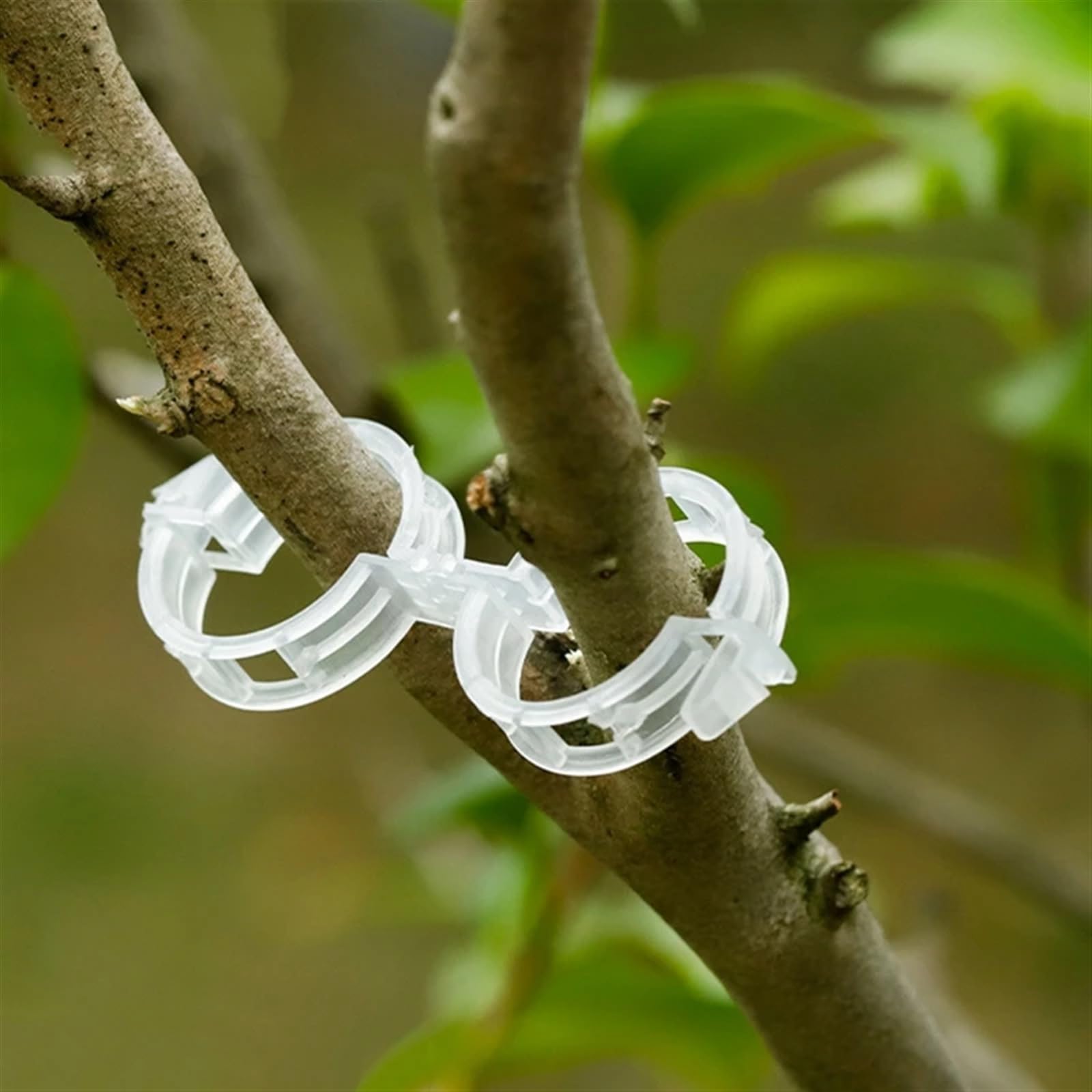 Mollette di sostegno per piante da giardino, Clip for piante in plastica Palo for traliccio Vite Ion Garden 50/100/150 Pz(150pcs)