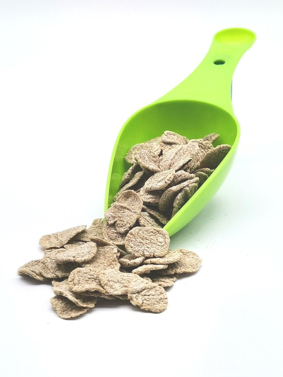 Müsli Mühle Bio Buchweizen Cornflakes – Cerealien ohne Zusätze – 2500g