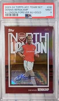 デニス・ベルカンプ選手　直筆サインパネル　超希少！！ デニス・ベルカンプ 直筆サインフォト（大） アーセナル ボレー