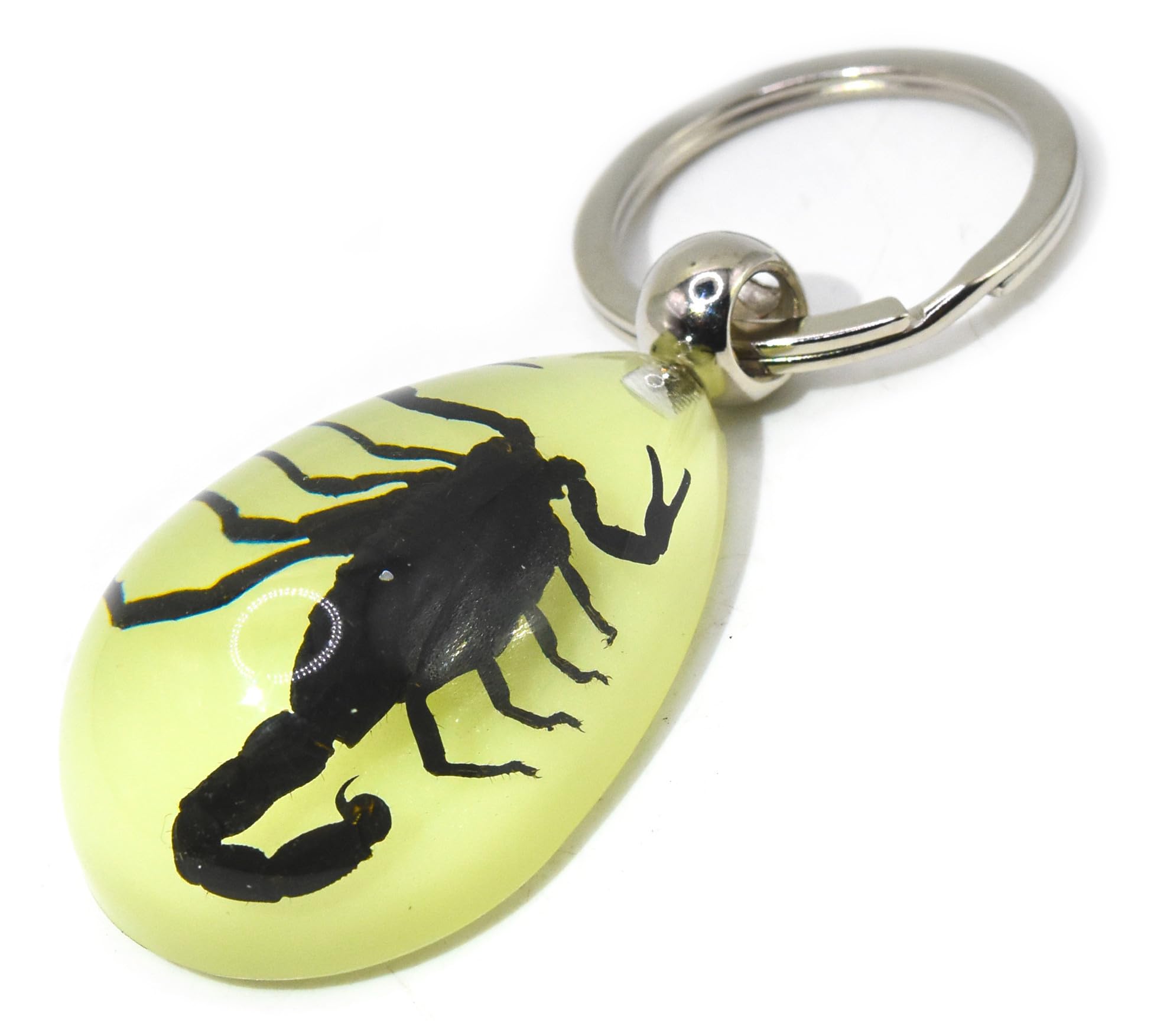 HQRP-Crystal 45mm Real Black Scorpion in Glow in The Dark Lucite Keychain Insect Animal Taxidermy Sample Inside for Biology Science Education Decoration Tear Drop Key Ring Chain Pendant