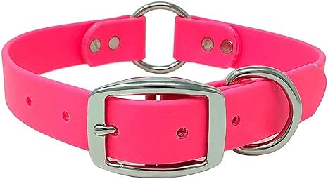 rubber dog collars