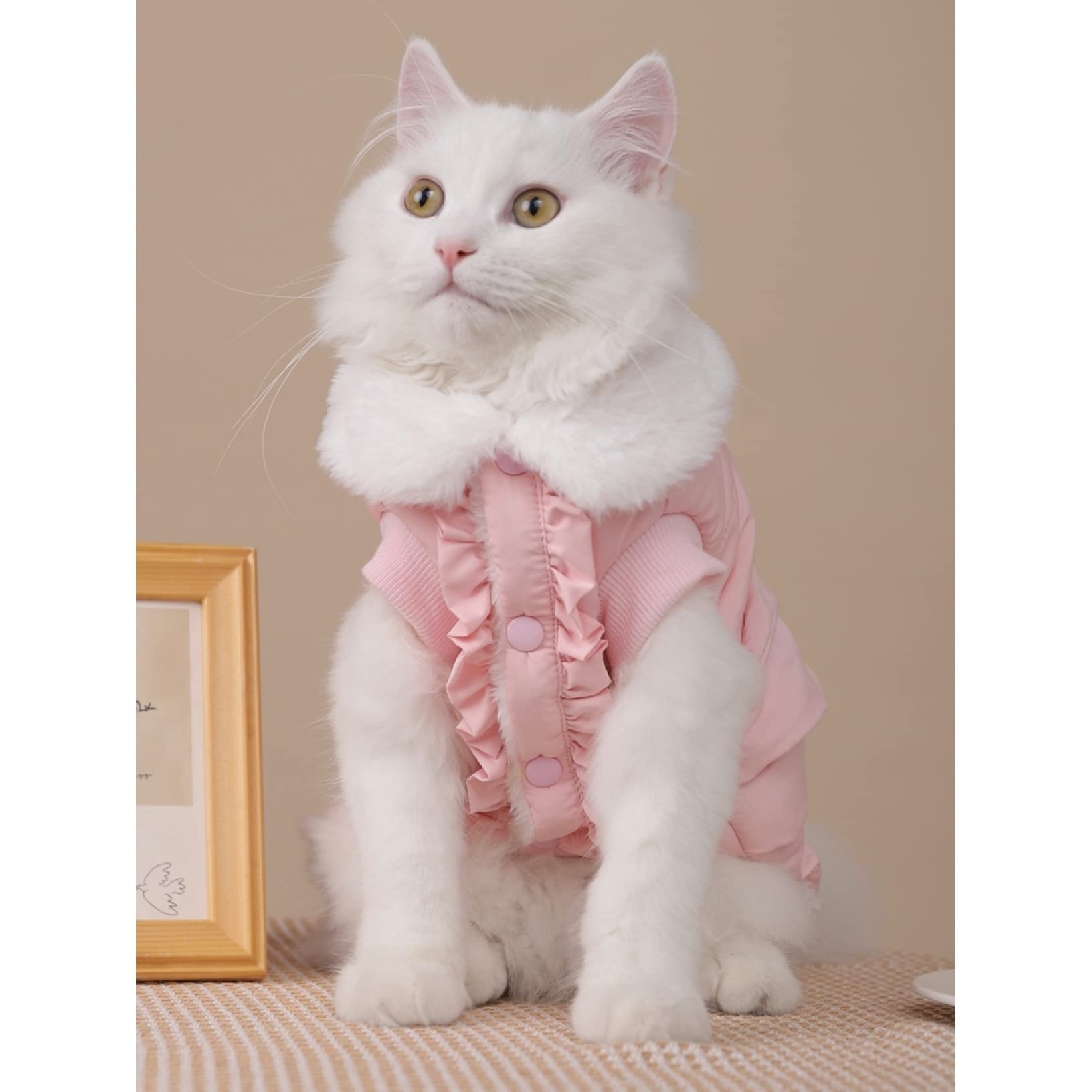 Amazon | 猫服 ペットベスト ペット用綿入れ ドッグウェア ペット犬服