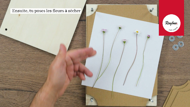 Presse à Fleurs Rayher 21x30cm - Kit Créatif Pour Sécher Fleurs Et Feuilles