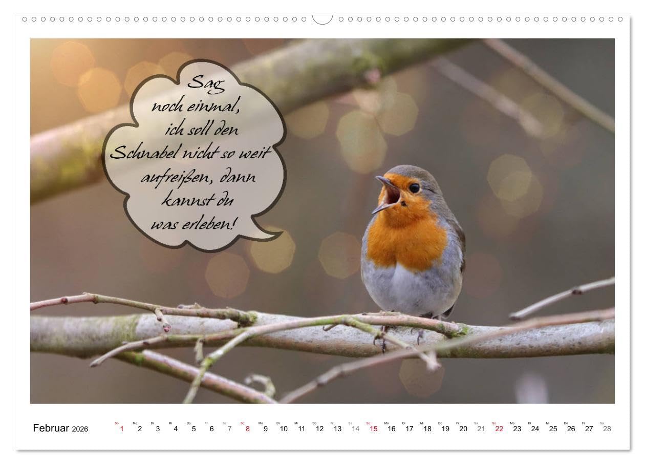 Vögel mit Humor (hochwertiger Premium Wandkalender 2026 DIN A2 quer), Kunstdruck in Hochglanz: Lustige Sprüche aus frechen Schnäbeln (CALVENDO Spass)