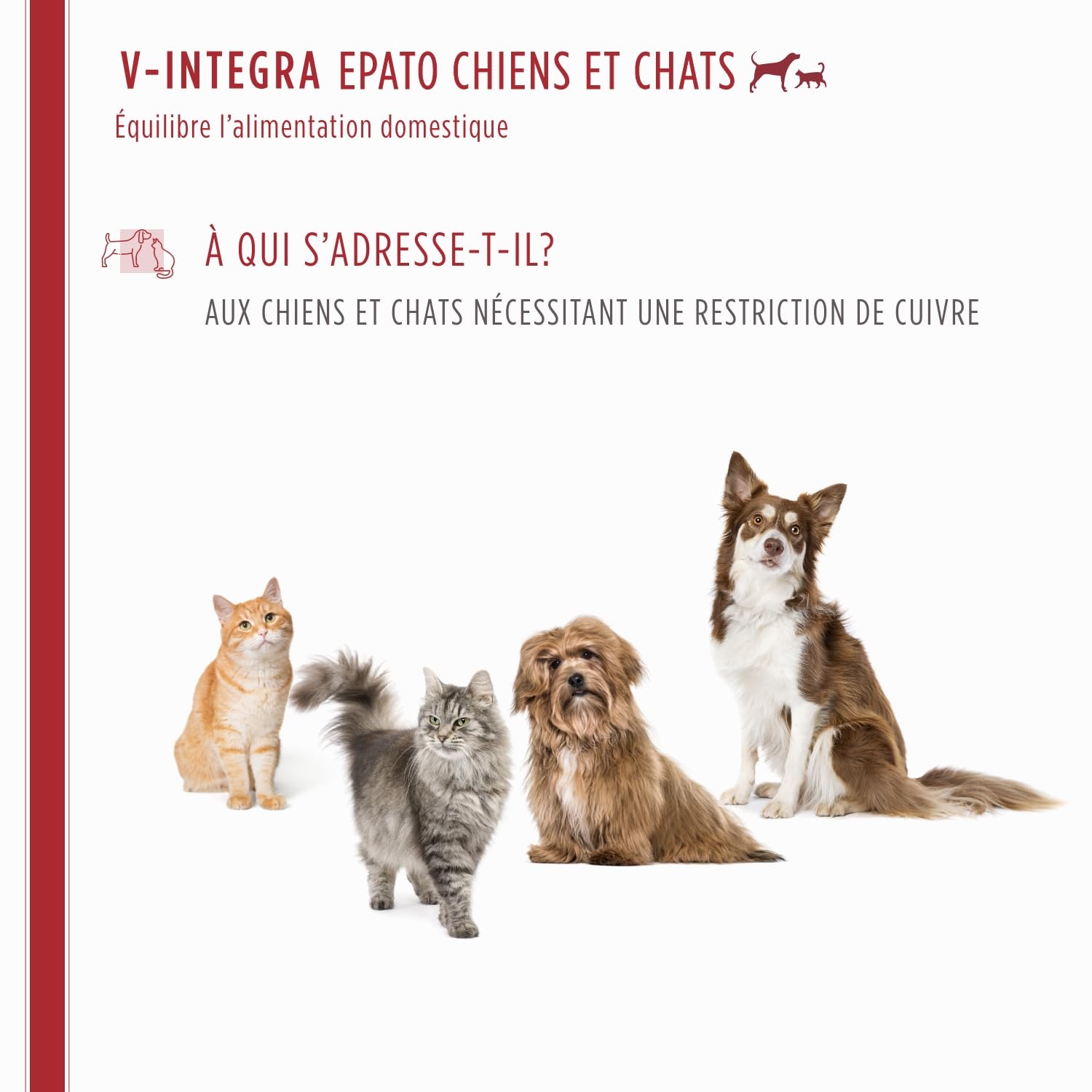 V-INTEGRA Epato Chiens et Chats - Supplément Complet de vitamines et minéraux pour la Ration ménagère des Chiens et Chats nécessitant Une Restriction en cuivre - 200g - Produit en Italie